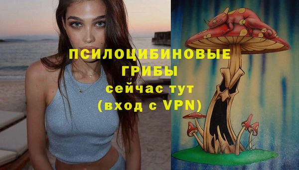 МДПВ Аркадак